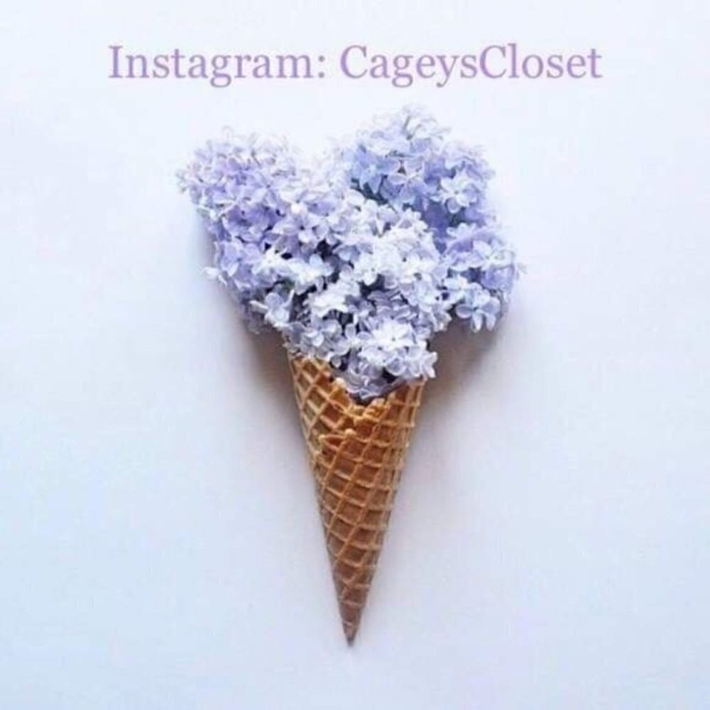 Apt. 9 Stretch Top L Button Down Top Belted Eggpl… - image 5